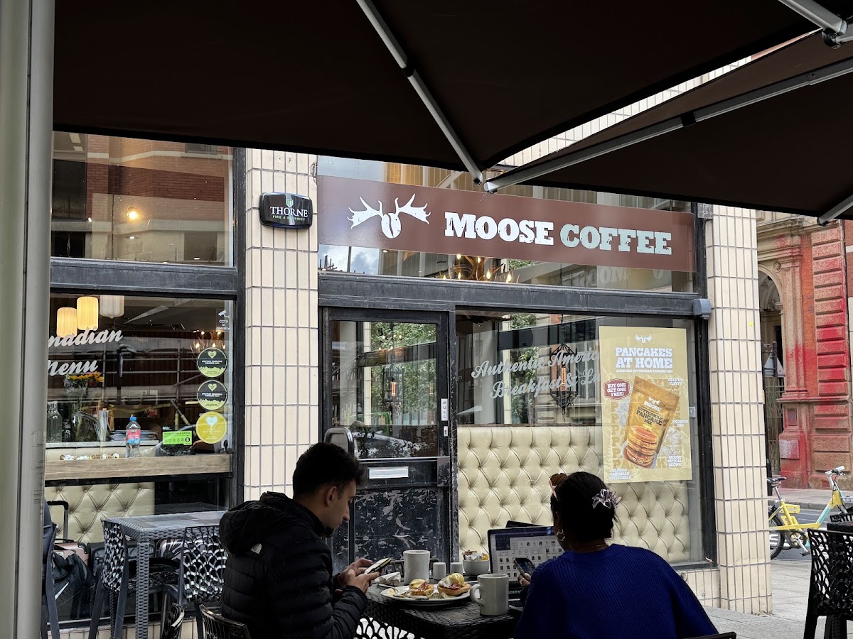 Moose — Cafe